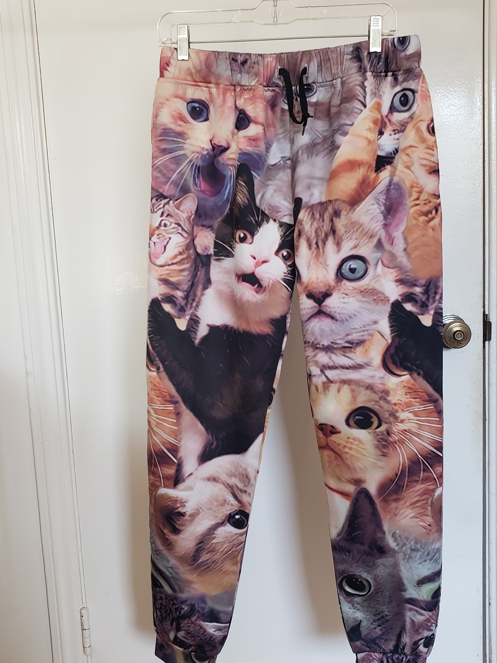 Cat Print Jogger Pants